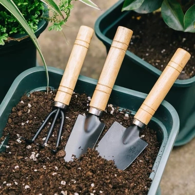 Bộ dụng cụ làm vườn mini 3 món cán gỗ cho đất trống cây - Giá 12.000 VND 3