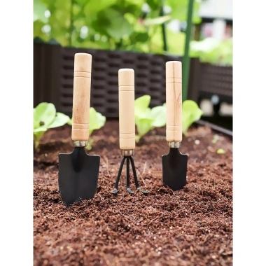 Bộ dụng cụ làm vườn mini 3 món cán gỗ cho đất trống cây - Giá 12.000 VND 6
