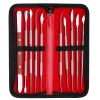 Bộ Dụng Cụ Tỉa Sáp Nha Khoa 10 Cây + Túi Da Đen - Tiện lợi cho sinh viên răng hàm mặt, giảm giá 151k