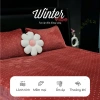 Bộ ga gối 3 món nỉ nhung sữa cao cấp Otama Bedding - 1m6,1m8,2m, giá ưu đãi 389k 2