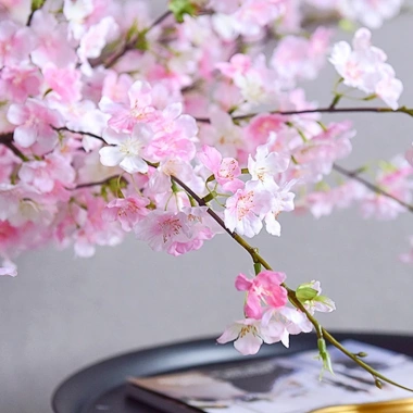 Bó Hoa Anh Đào Nhựa 109cm - Trang Trí Nhà Cửa, Văn Phòng, Tiệc Cưới Giá Ưu Đãi 59.955₫ 9 Bó Hoa Anh Đào Nhựa 109cm - Trang Trí Nhà Cửa, Văn Phòng, Tiệc Cưới Giá Ưu Đãi 59.955₫ 9