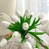 Bó hoa tulip 20 bông và bình nhựa BÓ MẠ - Trang trí nhà, decor chụp ảnh, giá ưu 5