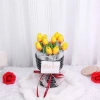 Bó Hoa Tulip Decor Kim Vinh Nhiều Màu Dễ Thương Kèm Thiệp – Sinh Nhật 129.000₫ 6