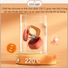 Bộ hộp đựng ti giả silicone tiệt trùng, chịu nhiệt cao, đa màu - Giá chỉ 75.000₫ 4