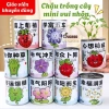 Bộ Kit Trồng Cây Mini Cho Bé - Lon Trồng Cây Thú Vị, Đồ Chơi Giáo Dục, Giá 20.400 VND 2
