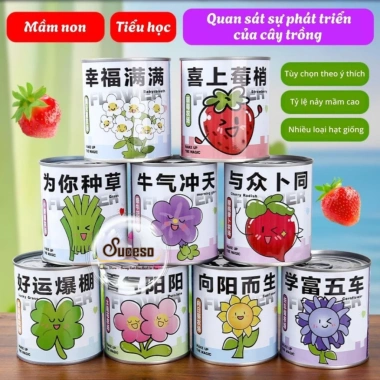 Bộ Kit Trồng Cây Mini Cho Bé - Lon Trồng Cây Thú Vị, Đồ Chơi Giáo Dục, Giá 20.400 VND 3 Bộ Kit Trồng Cây Mini Cho Bé - Lon Trồng Cây Thú Vị, Đồ Chơi Giáo Dục, Giá 20.400 VND 3