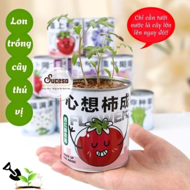 Bộ Kit Trồng Cây Mini Cho Bé - Lon Trồng Cây Thú Vị, Đồ Chơi Giáo Dục, Giá 20.400 VND 5 Bộ Kit Trồng Cây Mini Cho Bé - Lon Trồng Cây Thú Vị, Đồ Chơi Giáo Dục, Giá 20.400 VND 5