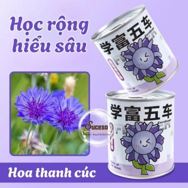Bộ Kit Trồng Cây Mini Cho Bé - Lon Trồng Cây Thú Vị, Đồ Chơi Giáo Dục, Giá 20.400 VND 6 Bộ Kit Trồng Cây Mini Cho Bé - Lon Trồng Cây Thú Vị, Đồ Chơi Giáo Dục, Giá 20.400 VND 6