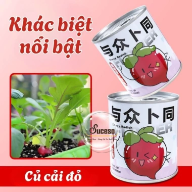 Bộ Kit Trồng Cây Mini Cho Bé - Lon Trồng Cây Thú Vị, Đồ Chơi Giáo Dục, Giá 20.400 VND