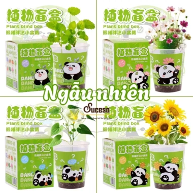 Bộ Kit Trồng Cây Mini Cho Bé - Lon Trồng Cây Thú Vị, Đồ Chơi Giáo Dục, Giá 20.400 VND 8 Bộ Kit Trồng Cây Mini Cho Bé - Lon Trồng Cây Thú Vị, Đồ Chơi Giáo Dục, Giá 20.400 VND 8