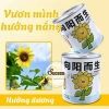 Bộ Kit Trồng Cây Mini Cho Bé - Lon Trồng Cây Thú Vị, Đồ Chơi Giáo Dục, Giá 20.400 VND 10