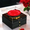 Bộ Quà Tặng Trang Điểm MEIYU – Hoa xoay nhạc, đèn, quà cho bạn gái, giảm còn 1.55 triệu 8