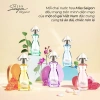Bộ sưu tập Miss Saigon Elegance EDP 15ml x5 - Hương sang trọng, Giá ưu đãi 1.125.000 VND 3