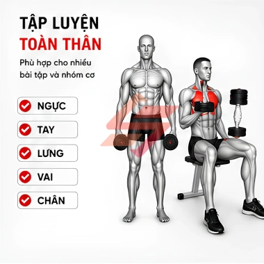 Bộ tạ tập gym đa năng cao cấp lắp ghép 10-40kg - Tập vai, tay, ngực - Giá chỉ 260k