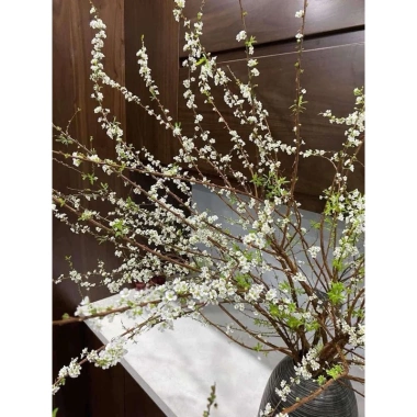 Bó tuyết mai rừng siêu nụ dài 1m - Trang trí cắm bình hoa, giá chỉ 25k