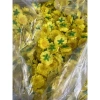 Bông Hoa Đào Giả 100gr và Hoa Mai Giả Trang Trí Tết - Giá chỉ 15.000 | Hà Hoa Flower