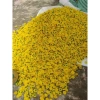 Bông Hoa Đào Giả 100gr và Hoa Mai Giả Trang Trí Tết - Giá chỉ 15.000 | Hà Hoa Flower 2