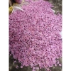 Bông Hoa Đào Giả 100gr và Hoa Mai Giả Trang Trí Tết - Giá chỉ 15.000 | Hà Hoa Flower 3