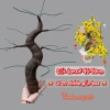 Bonsai giả Kẽm Nhung 45-50cm 20 nhánh hoa Mai Đào, trang trí Tết, giá 44.000đ 2