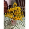 Bonsai giả Kẽm Nhung 45-50cm 20 nhánh hoa Mai Đào, trang trí Tết, giá 44.000đ 8