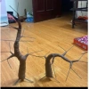 Bonsai giả trang trí hoa Tết tiện lợi - Nhiều kiểu dáng, kích thước đa dạng, giá 33.000đ 2