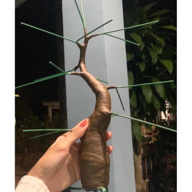 Bonsai mini gốc cây đào, cây mai đẹp Tết - Giá 48.000 VND giảm từ 59.040 VND 5 Bonsai mini gốc cây đào, cây mai đẹp Tết - Giá 48.000 VND giảm từ 59.040 VND 5