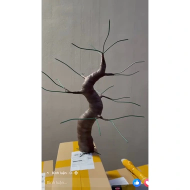 Bonsai mini gốc cây đào, cây mai đẹp Tết - Giá 48.000 VND giảm từ 59.040 VND 7 Bonsai mini gốc cây đào, cây mai đẹp Tết - Giá 48.000 VND giảm từ 59.040 VND 7