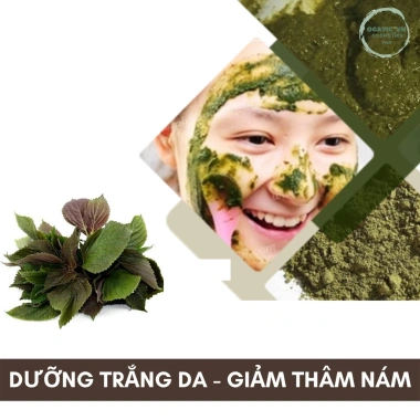 Bột Lá Tía Tô OBAXUA Dưỡng Da Tự Nhiên, Làm Sạch và Dịu Da Dầu, Giá 35.000₫