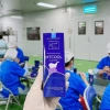 Bọt vệ sinh nam giới Socola Lavender MTCOOL 100ml – Tạo bọt khử mùi, mùi thơm nhẹ, 40.000₫ 4