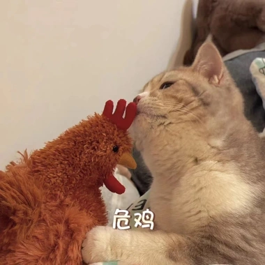 Búp Bê Gà Con Nhồi Bông Dễ Thương: Quà Tặng Valentine Giá Ưu Đãi 123.750 VND