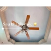 Can 2 lít Tẩy Mốc cho Trần Tường, Quần Áo & Đồ Da - Giá Chỉ 105.000 VNĐ 3