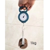 Cân cầm tay mini đa năng 10kg - Cân điện tử lò xo tiện dụng, phù hợp câu cá, đi chợ - Giá chỉ 26.000₫ 3