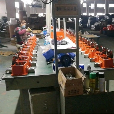 Cân Điện Tử Treo 500kg - 1 Tấn, Bảo Hành 1 Năm, Hàng Chính Hãng, Giá 1.38 Triệu 6