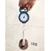Cân Lò Xo Mini Cầm Tay Đa Năng 10Kg - Cân Hàng Hóa Xách Tay DREAM Giá Siêu Tốt 3