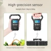 Cân treo điện tử DESPITEGO 50kg, nhựa di động, sạc USB, màn hình kỹ thuật số, đèn nền 7