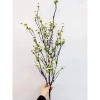 Cành Cherry cổ cắm bình - điểm gốc cây lọ hoa giả, trang trí nhà cửa, giảm còn 76.000₫ 2