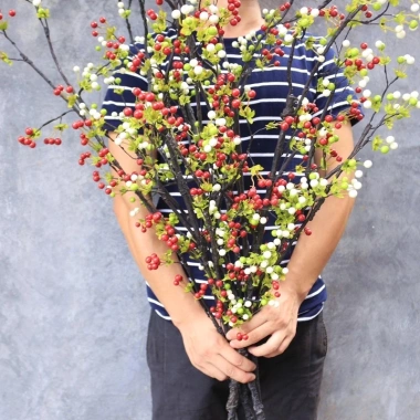 Cành Cherry cổ cắm bình - điểm gốc cây lọ hoa giả, trang trí nhà cửa, giảm còn 76.000₫ 6 Cành Cherry cổ cắm bình - điểm gốc cây lọ hoa giả, trang trí nhà cửa, giảm còn 76.000₫ 6