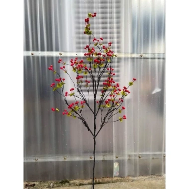 Cành Cherry cổ cắm bình - điểm gốc cây lọ hoa giả, trang trí nhà cửa, giảm còn 76.000₫ 10 Cành Cherry cổ cắm bình - điểm gốc cây lọ hoa giả, trang trí nhà cửa, giảm còn 76.000₫ 10