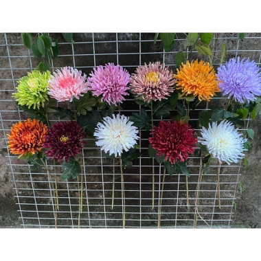 Cành cúc Tăm & cúc mẫu đơn trang trí - Phụ kiện chụp hình hoa giả TâmKemDecor giảm còn 29.000đ