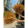 Cành đào Đông 12 nhánh cao 1m Loại 1, quả to tròn, decor Tết giá chỉ 28k 3