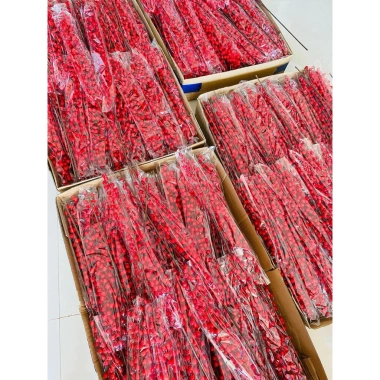 Cành Đào Đông cao cấp 100cm - 12 nhánh quả đỏ, hoa giả trang trí Tết, giá ưu đãi 10.000 VND 6