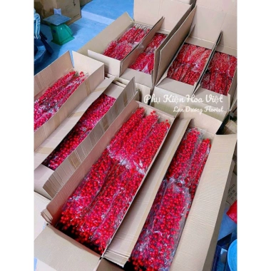 Cành Đào Đông Đỏ 6-12 nhánh 65-100cm - Decor Tết, Tháp, Oản - Giá ưu đãi 14.999₫