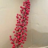 Cành Đào Đông Vàng Đỏ 12 nhánh 1m, quả to đều, decor vòng hoa Tết, tháp 2.025 giảm 30.000₫ 5