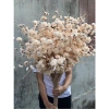 Cành Đào Giả Râu 1m Đa Màu Trang Trí Tết - Phuong Decor Giá 29.000đ
