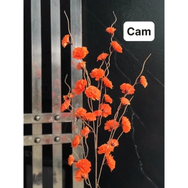 Cành Đào Giả Râu 1m Đa Màu Trang Trí Tết - Phuong Decor Giá 29.000đ 9