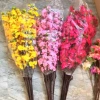 Cánh hoa anh đào giả đa màu sắc 100cm trang trí Tết cắm bình siêu đẹp giảm giá 24.000₫ 2