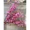 Cánh hoa anh đào giả đa màu sắc 100cm trang trí Tết cắm bình siêu đẹp giảm giá 24.000₫ 3