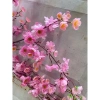 Cánh hoa anh đào giả đa màu sắc 100cm trang trí Tết cắm bình siêu đẹp giảm giá 24.000₫ 5