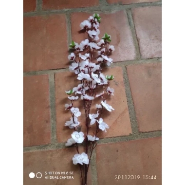 Cánh hoa anh đào giả đa màu sắc 100cm trang trí Tết cắm bình siêu đẹp giảm giá 24.000₫ 8 Cánh hoa anh đào giả đa màu sắc 100cm trang trí Tết cắm bình siêu đẹp giảm giá 24.000₫ 8