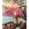 Cành Hoa Anh Đào Nhật Bản 3 Nhánh To 5 Màu - Hàng Nhập Khẩu Giá Ưu Đãi 27.000₫ 6